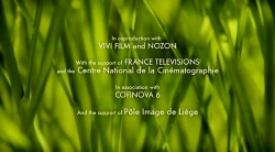 باگز بانی (ملاقات با شیطان)